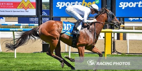 Henry Dwyer Racing – Sunday Preview