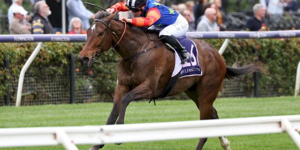 Henry Dwyer Racing – Wednesday Preview