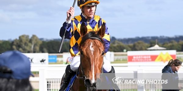 Henry Dwyer Racing – Saturday Preview