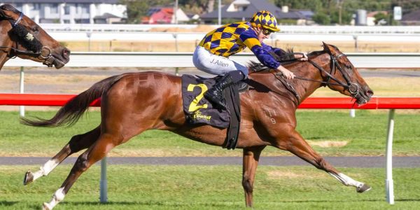 Henry Dwyer Racing – Saturday Preview
